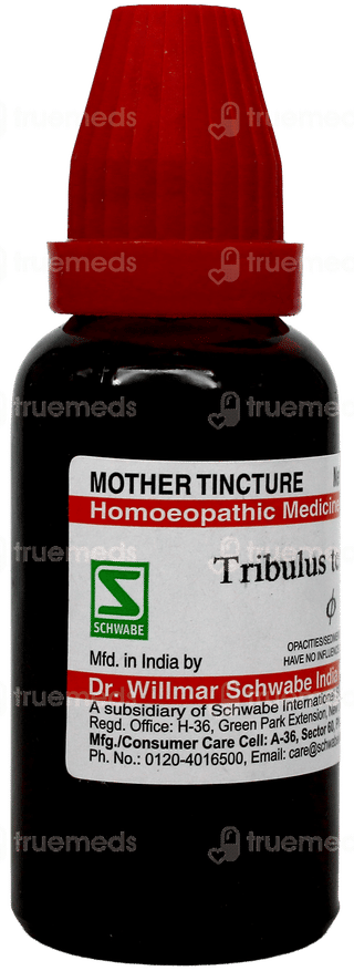 Dr Willmar Schwabe Tribulus Terrestris Q Mother Tincture 30ml